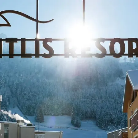 Titlis 315 *